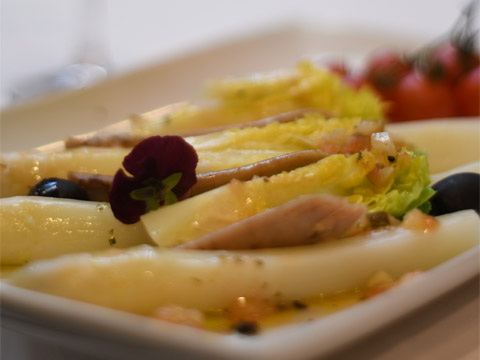 Verduras de nuestra huerta